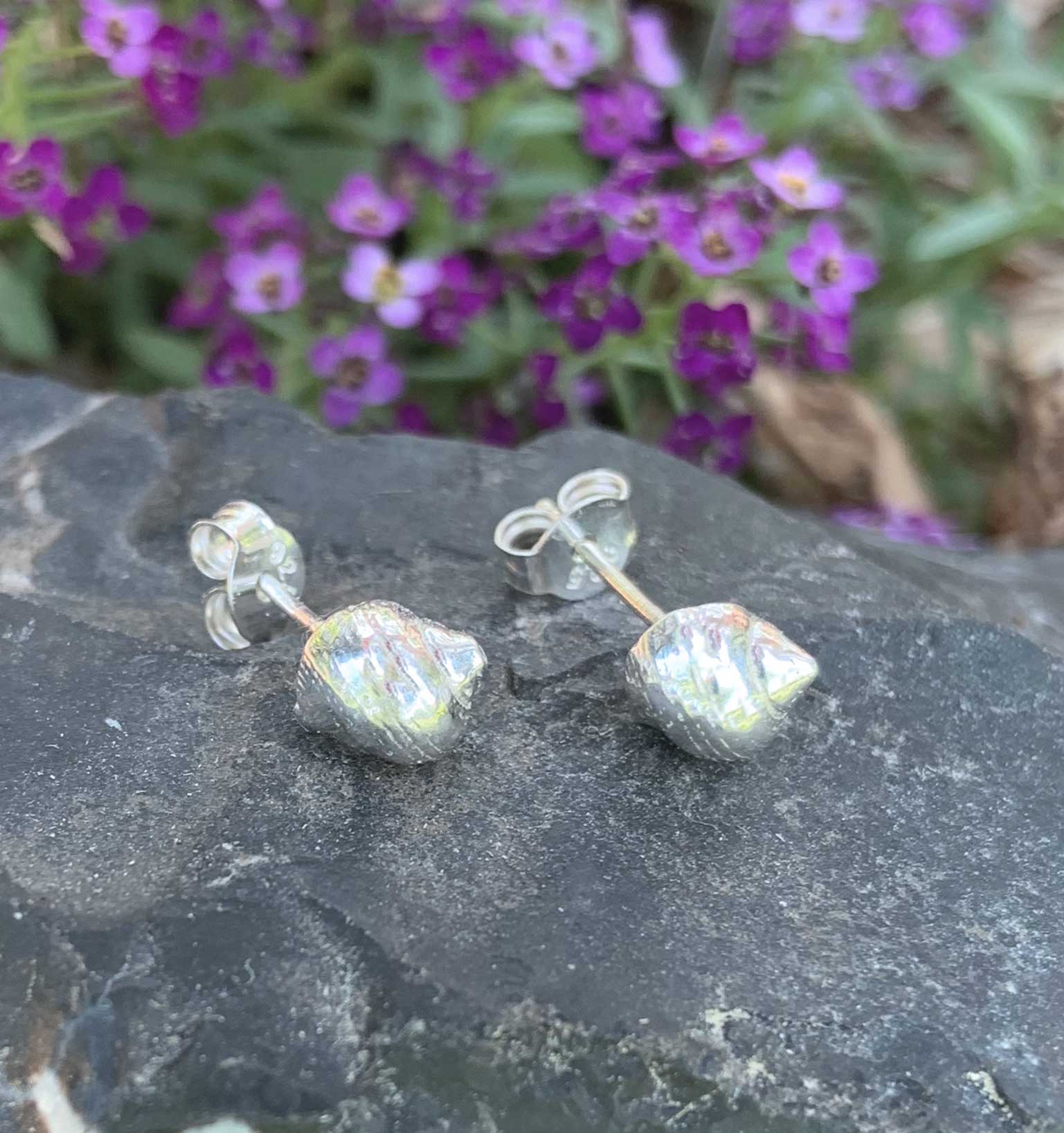 Periwinkle Seashell Stud Earrings - Sterling Silver Handmade Ocean Jewellery