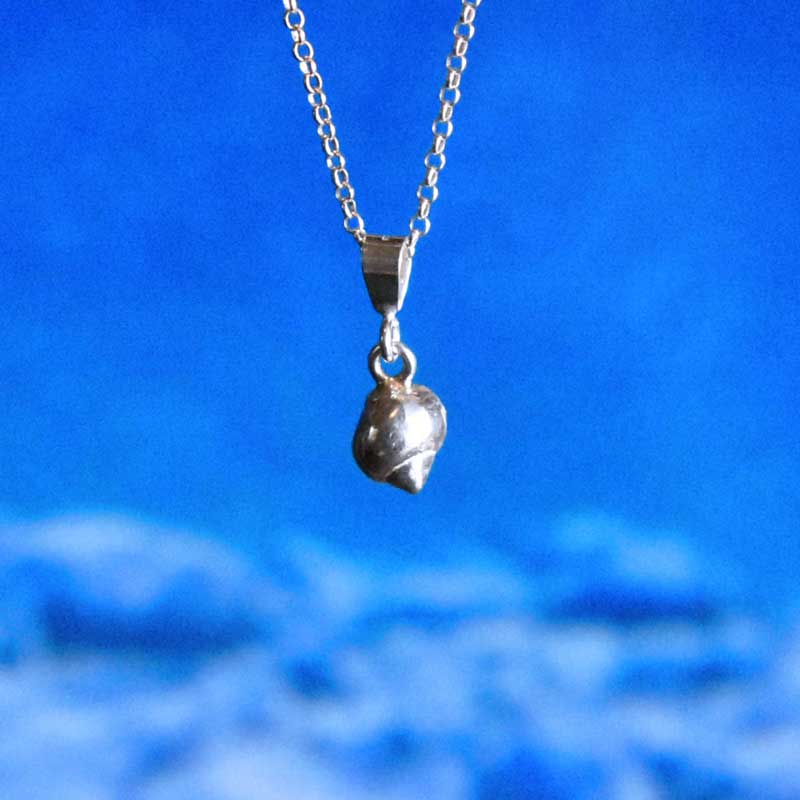 Tiny Periwinkle Seashell Necklace